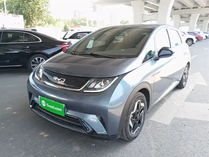 BYD Dolphin, 2025