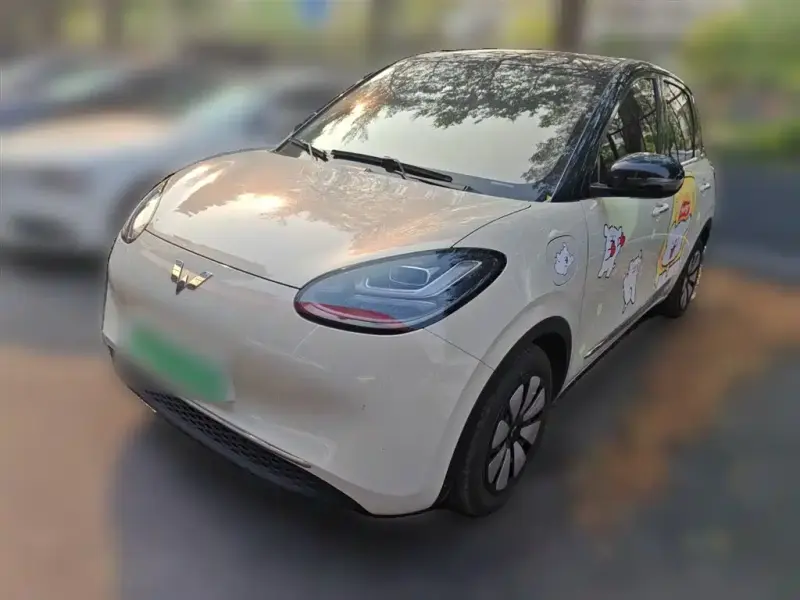Wuling Bingo, 2024