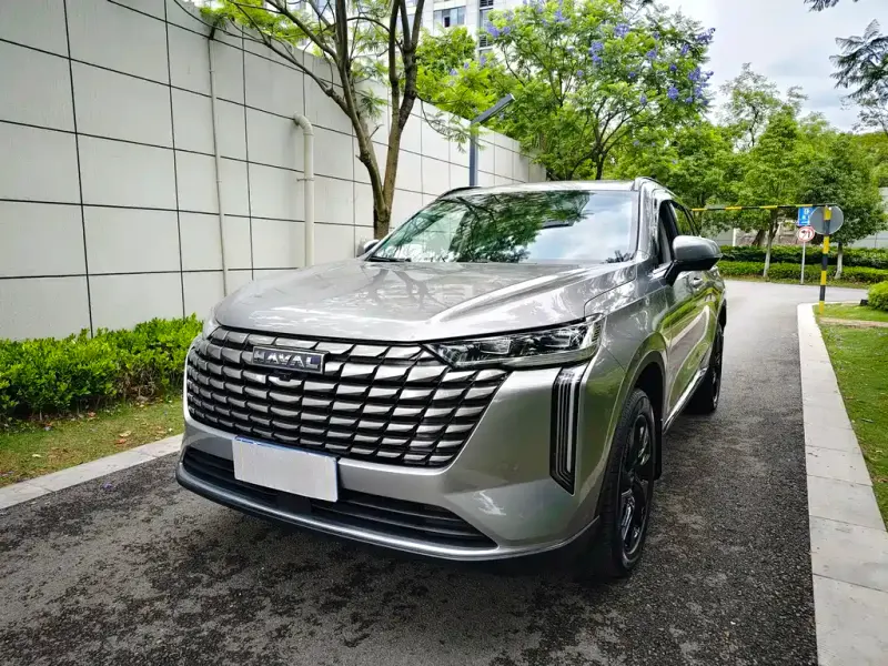 Haval H6, 2024