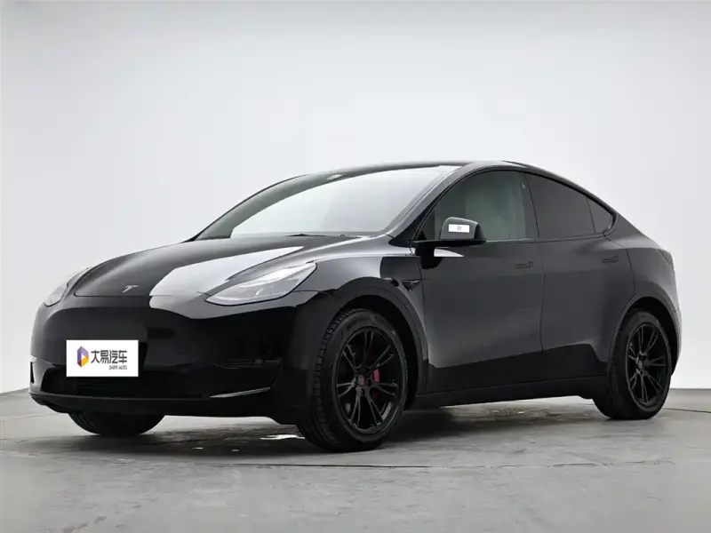 Tesla Model Y, 2021