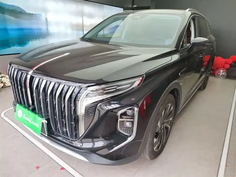 Hongqi HS7 PHEV, 2024