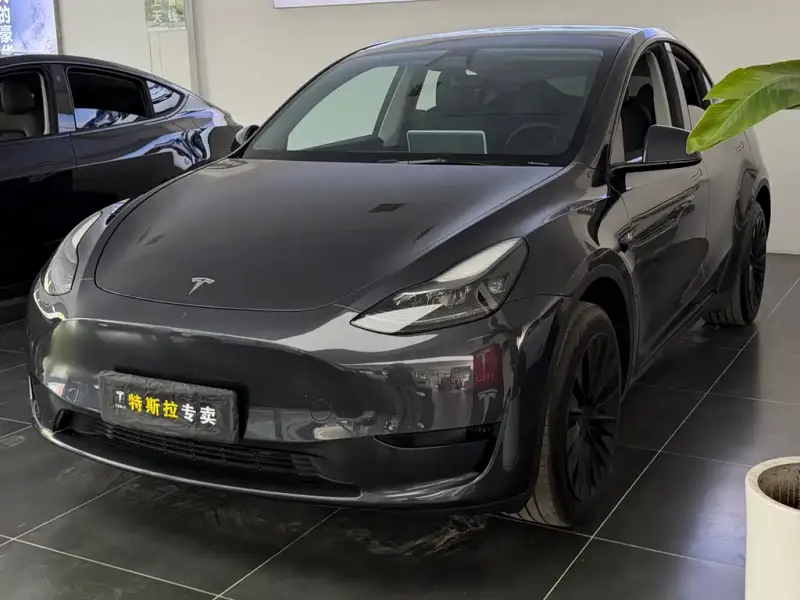 Tesla Model Y, 2024