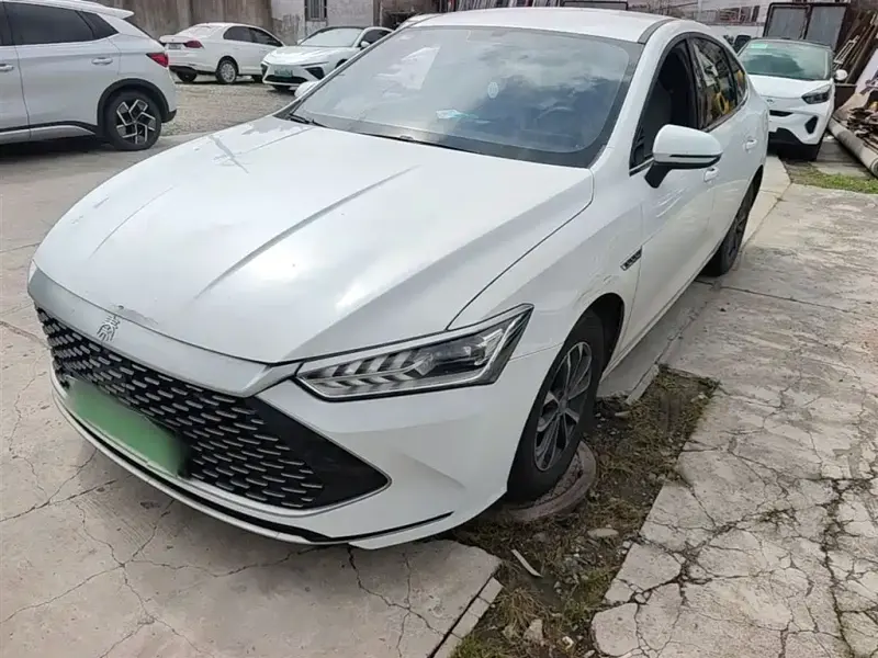 BYD Qin PLUS, 2024