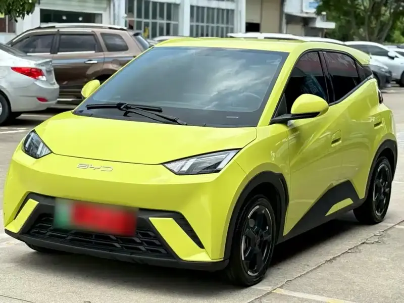 BYD Seagull, 2024