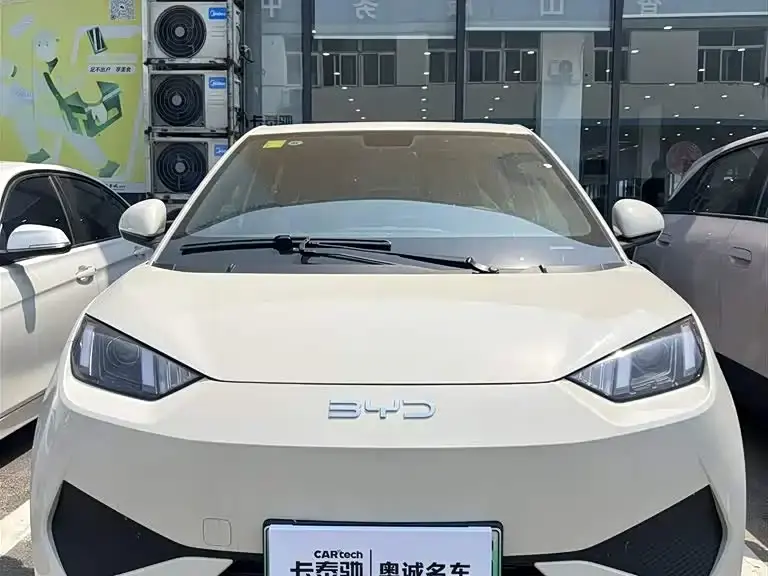 BYD Seagull, 2026