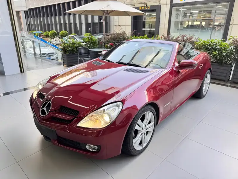 Mercedes-Benz SLK-Class, 2010