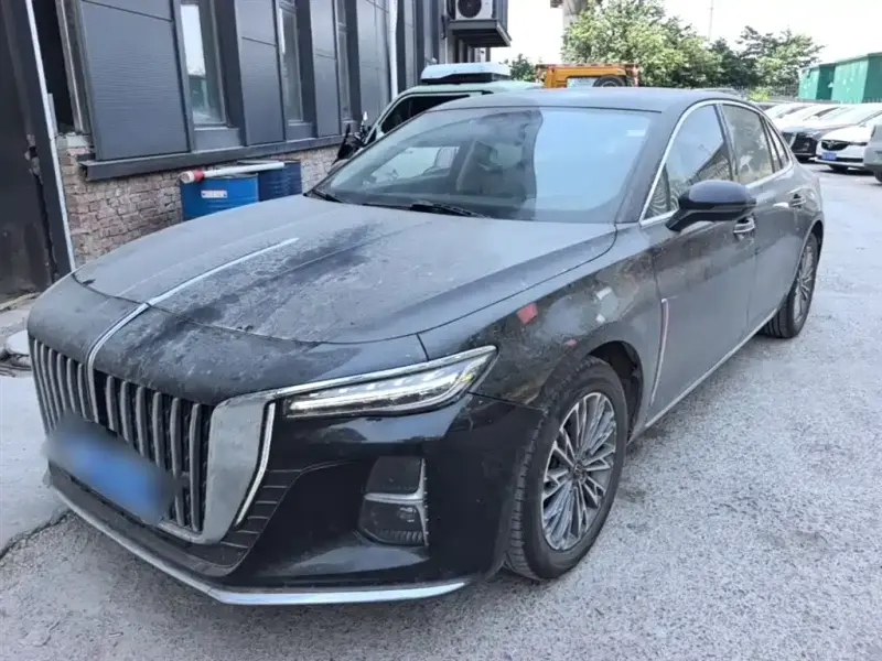 Hongqi H5, 2024