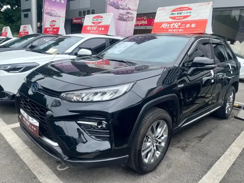 Toyota Wildlander, 2020