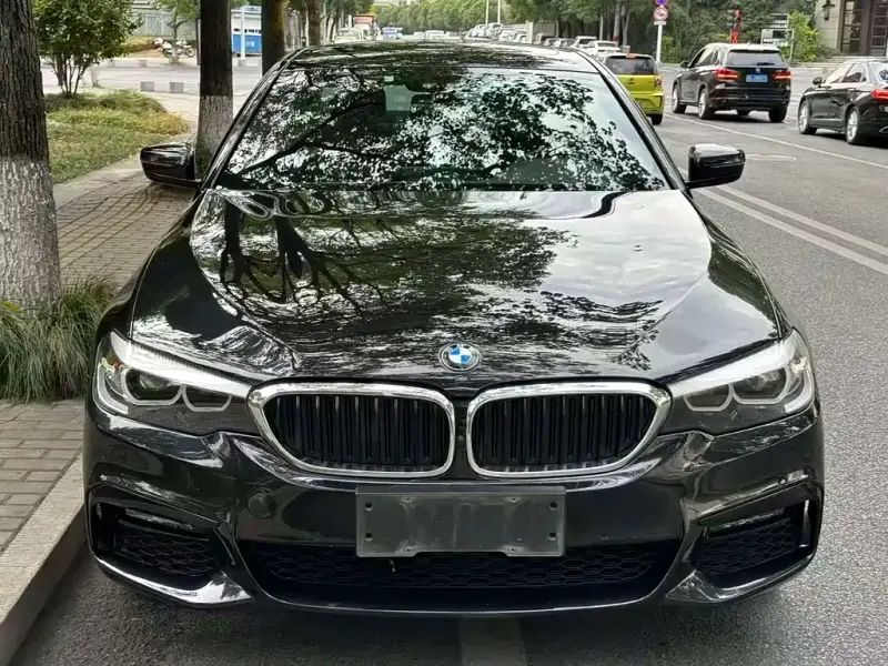 BMW 5 Series, 2019