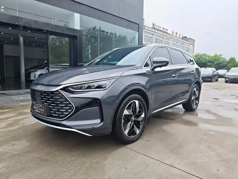 BYD Tang New Energy, 2024