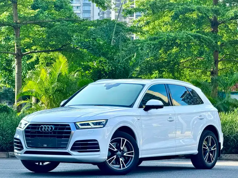Audi Q5L, 2019