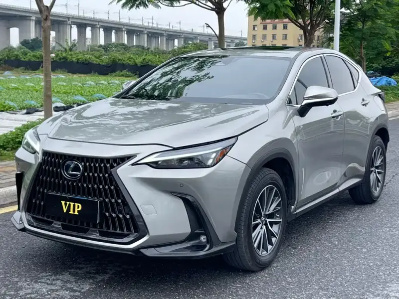Lexus NX, 2022