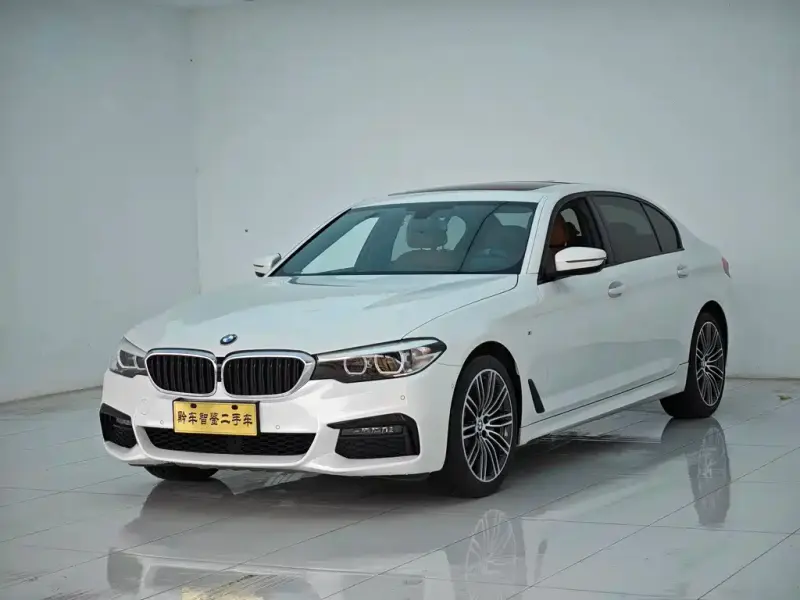 BMW 5 Series, 2019