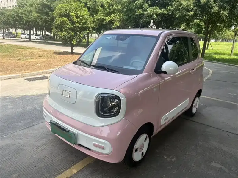 Bestune Pony, 2024