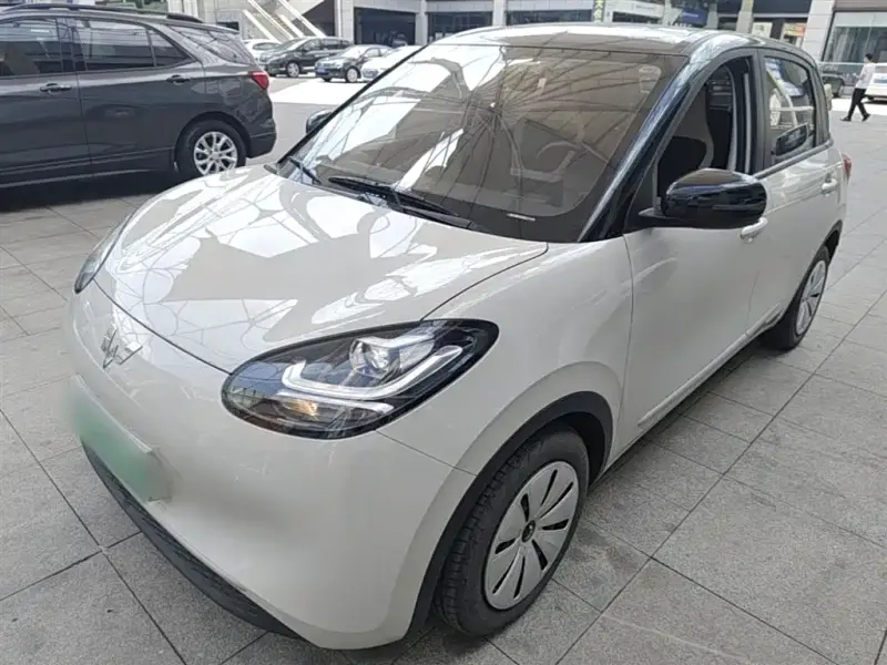Wuling Bingo, 2024