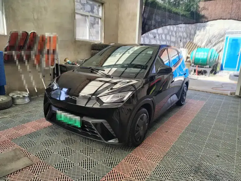 BYD Seagull, 2024