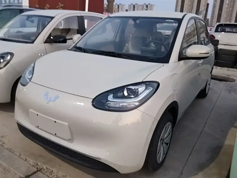 Wuling Bingo, 2024