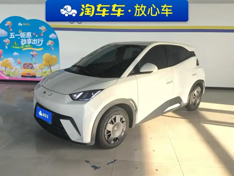 BYD Seagull, 2024