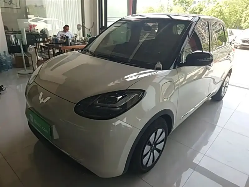 Wuling Bingo, 2024