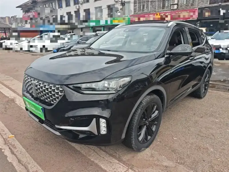 Wey VV6, 2020