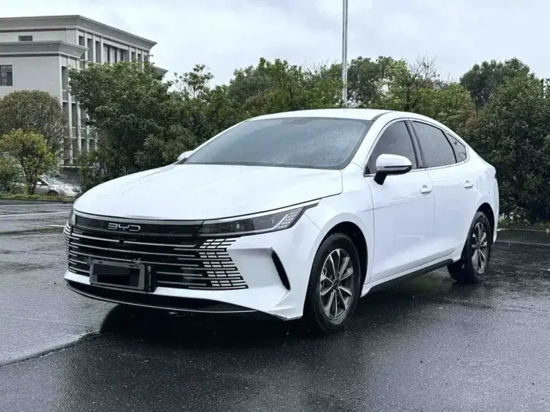 BYD Destroyer 05, 2024
