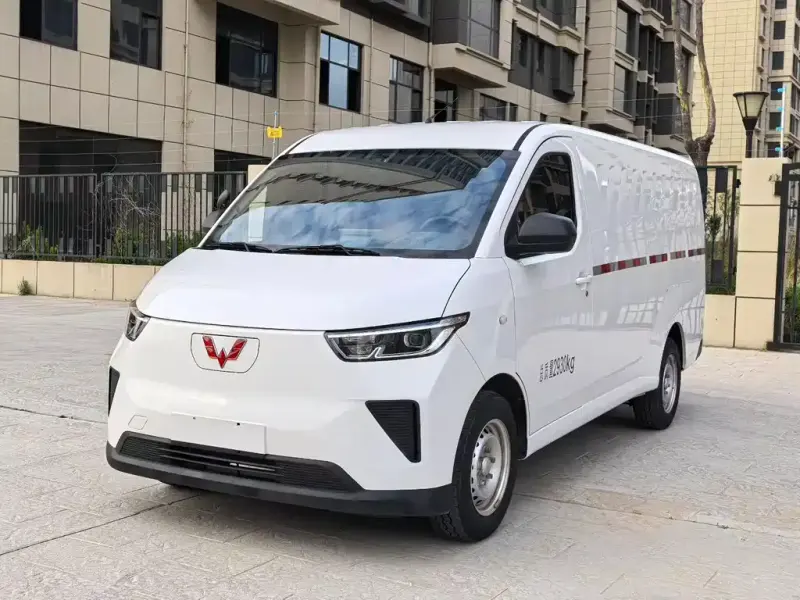 Wuling Yangguang, 2024