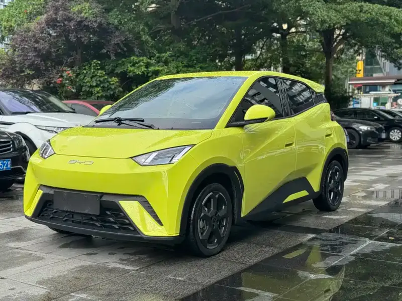 BYD Seagull, 2023