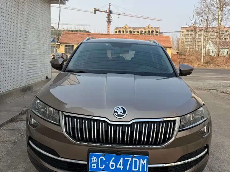 Skoda Karoq, 2021