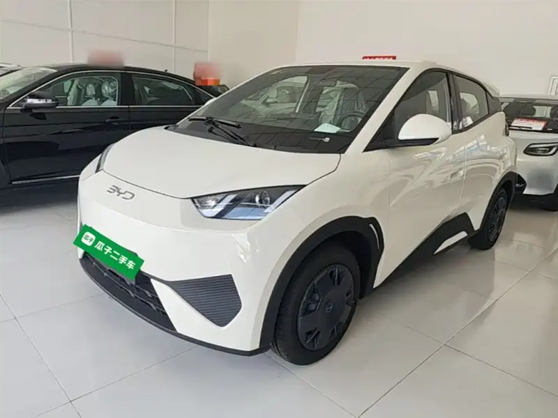 BYD Seagull, 2026