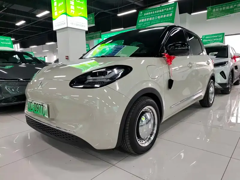 Wuling Bingo, 2023