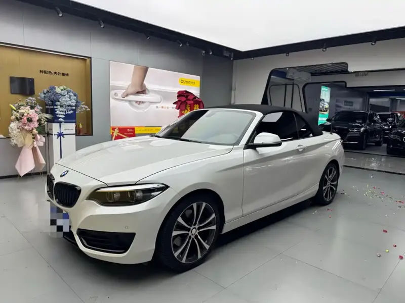 BMW 2 Series (Import), 2021