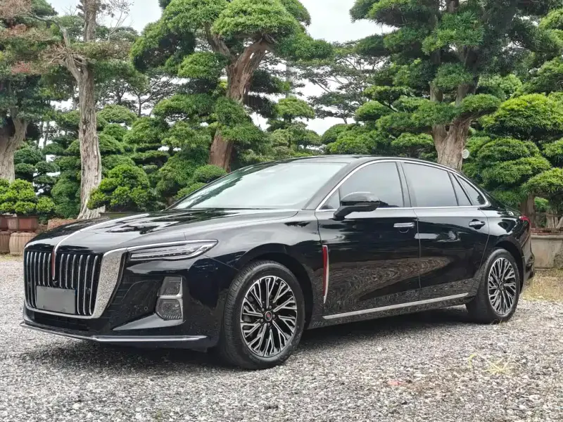 Hongqi H5, 2025