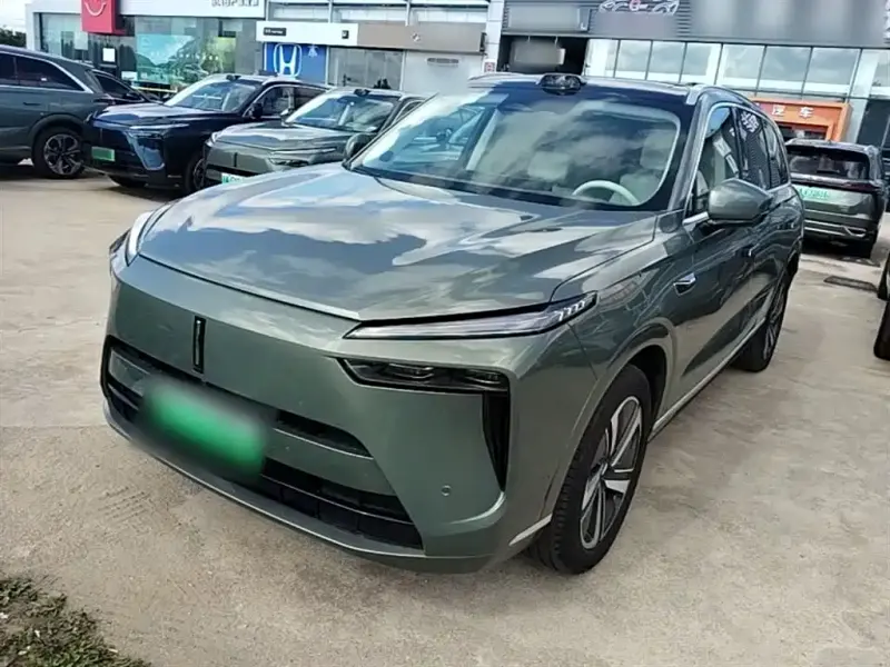 Wey Lanshan, 2024