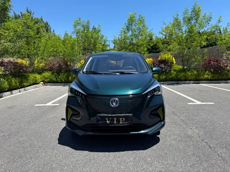 Changan Benben E-Star, 2022