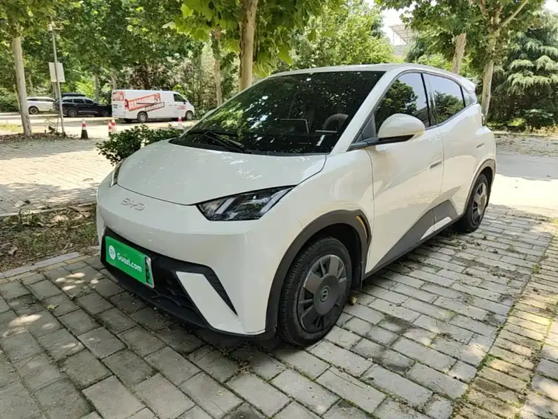 BYD Seagull, 2024