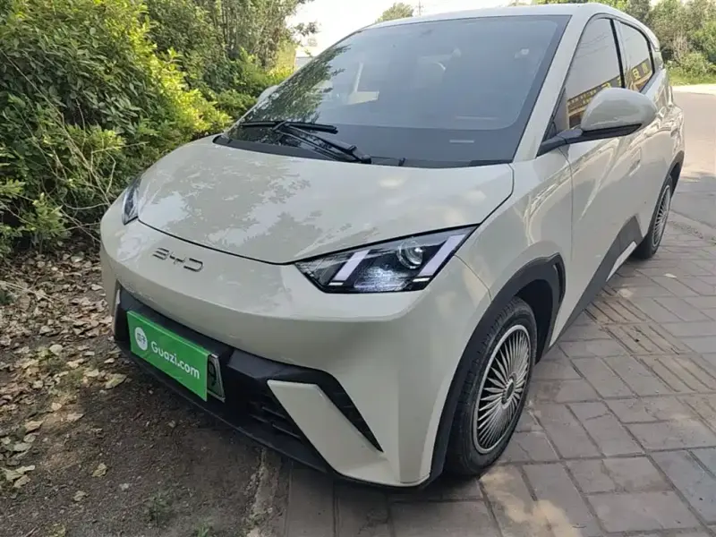 BYD Seagull, 2024