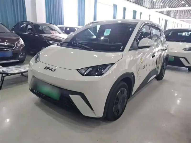 BYD Seagull, 2024