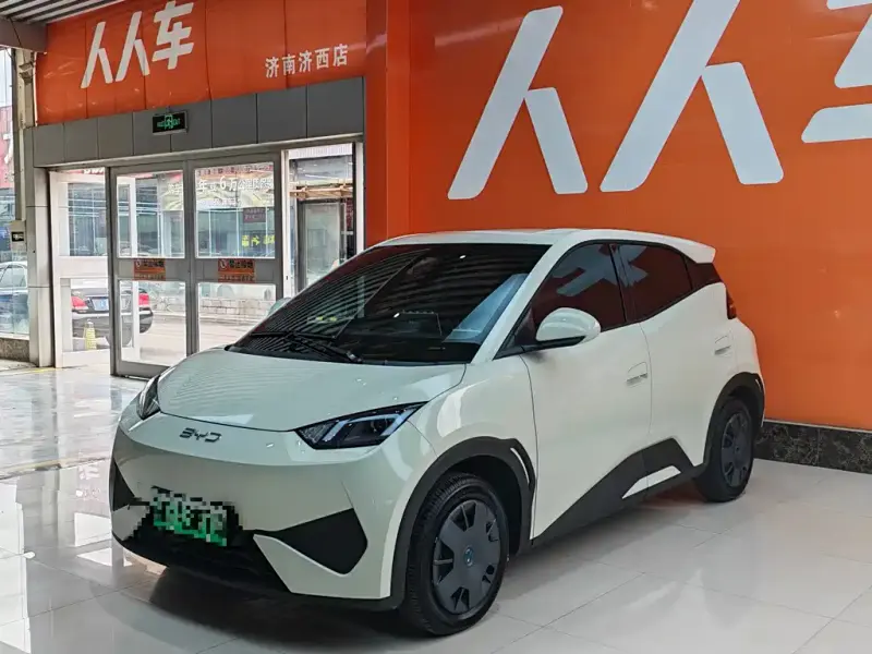 BYD Seagull, 2026