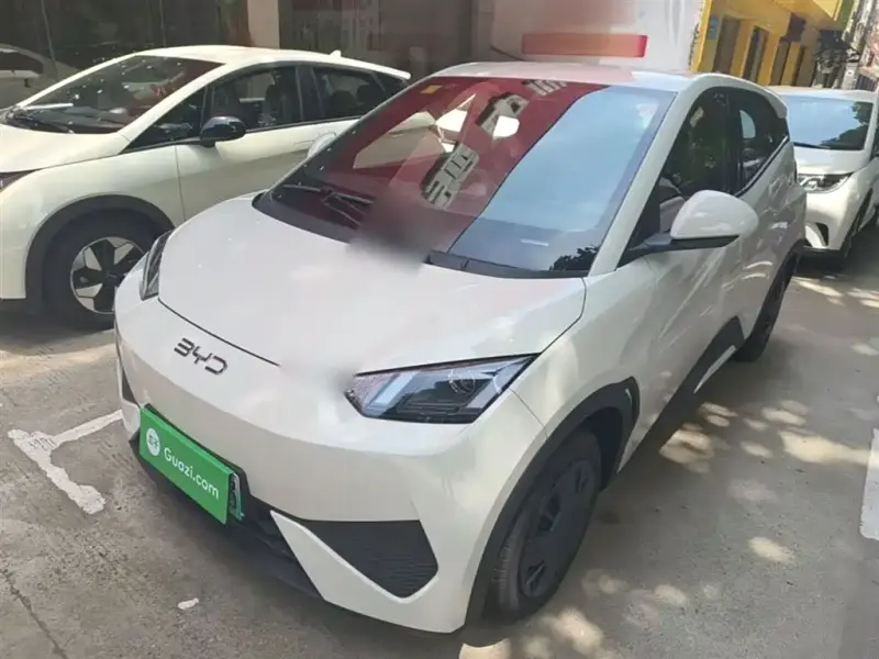 BYD Seagull, 2026