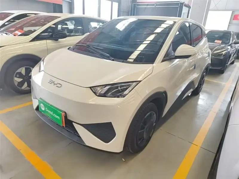 BYD Seagull, 2026