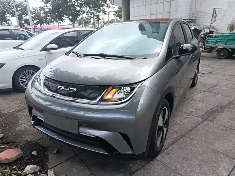 BYD Dolphin, 2024