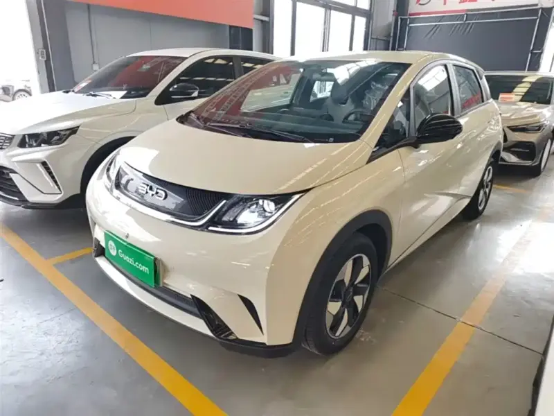 BYD Dolphin, 2026