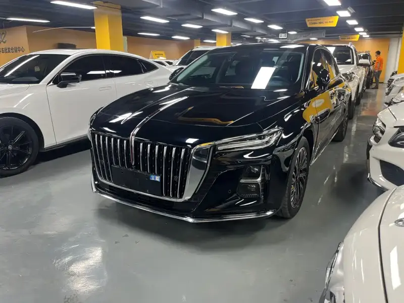 Hongqi H5, 2024