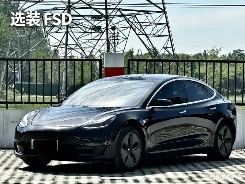 Tesla Model 3, 2019