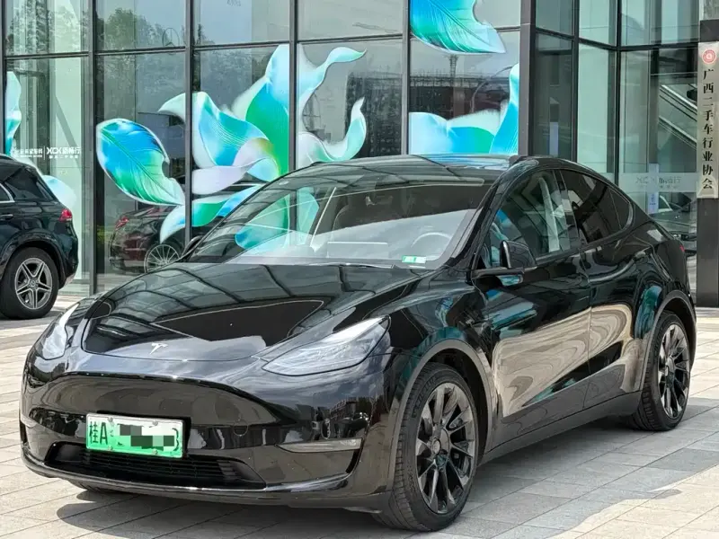 Tesla Model Y, 2021