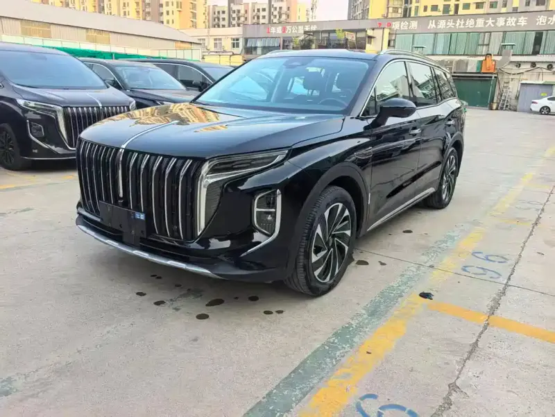 Hongqi HS7 PHEV, 2024