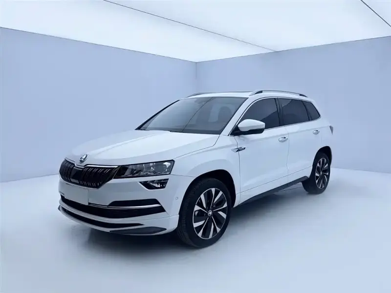 Skoda Karoq, 2024
