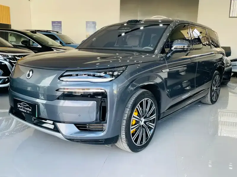 Denza N9, 2025