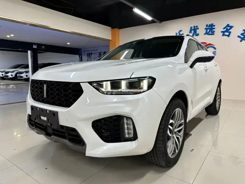 Wey VV5, 2017