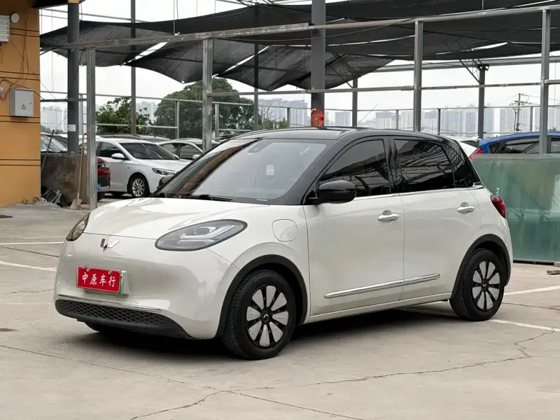 Wuling Bingo, 2023